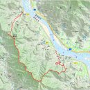 섬진강대나무숲길 이미지