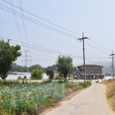 대농리마을회관 이미지