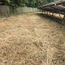 효심 태양광발전소 이미지