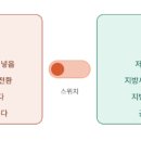 신통한약국 네이버블로그