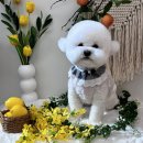 올데이 그루밍 이미지