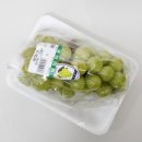 (주)샤인에이드