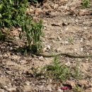 비내길 2구간 이미지