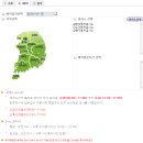 거창자동차검사소 | 셀프 자동차종합검사 방법