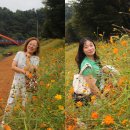 청원과일마트 | 2025 청주 청원생명축제 일정 주차 먹거리 꿀팁