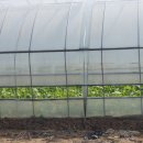 하북2리마을회관 이미지