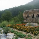 조전1리 이미지