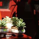 영화 역사 인문학 이미지