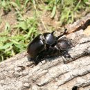 장수전력 이미지