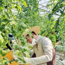 이석용농장 이미지