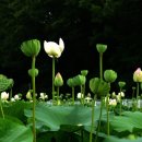 오늘도땡큐 이미지