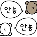선산곱창임정남