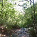 유천리 삼거리 이미지