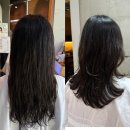 일산 웨스턴돔미용실 아이디헤어 웨스턴1호점 정진실장님 저손상 네츄럴직레이어드펌 후기