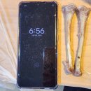 지탄철교 옆 간이화장실 | 증평 맛집 [금송가든 한방백숙] 누룽지 백숙 :: 압도적 크기의 토종닭 보양식 솔직 리뷰🍗