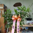 (주)현민