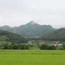 꽃송아리마을 이미지