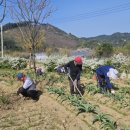 서곡리 경로당 이미지