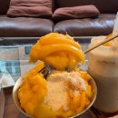 마곡에서 생망고빙수 제대로 하는 집 찾았다🍧 공항동 카페잠깐 망고빙수