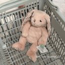 제이피스토어 | 괌 jpsuperstore 애착 인형 젤리캣 라인업, 몬아미, 더글라스, 부코스키, 메일레그 등 구매후기