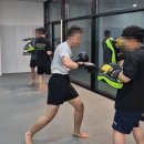 가디언즈 주짓수 킥복싱 태권도 | 오창 킥복싱 주짓수 스트레스 잡는 다비드짐 수업 후기