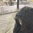 미아도담 | 2026년 1월