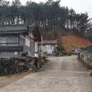 순천만숲
