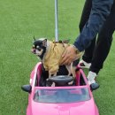 더리조트멍 이미지