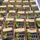 퇴계원읍종합행정타운 | [퇴계원읍 종합행정타운 주민자치센터]45인분 배달 완료