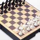 두뇌발달체스 이미지