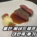 [용산 씨네드쉐프] CGV 아이파크몰 데이트 추천 와일드씽 영화 후기까지 대만족 : )