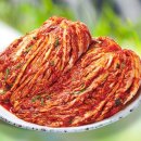 학가산김치 쇼핑하우