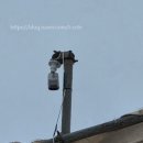 수정태양광발전소 | [철거현장CCTV]수정구 신흥동 태양광 감시카메라 시공후기-T-CCTV