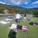 명상요가 이미지