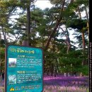 문장대 야영장