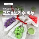 합천가야초등학교 이미지