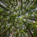 선릉쉼표정신건강의학과의원 이미지