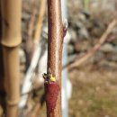 중석농장 이미지