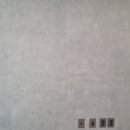 하이존