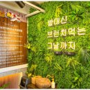 더브런치하우스 이미지