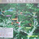 전남 장성의 축령산(621m) 편백나무 치유의 숲 이미지