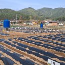 상호농장 이미지