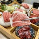 참치스토리 이미지