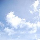 남태평양 이미지