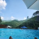 홍천군 산림조합 | 홍천 오토캠핑 추천 — 비발디캠핑파크 미루나무점, 가족 힐링 캠핑의 정답