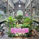 아이스꽁냥 | 청주 대형카페 트리브링 | 케이크 베이커리가 맛있는 예쁜 포토존 가득한 카페 후기