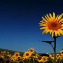 보은여관 이미지