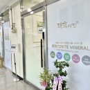 태후바디케어 이미지