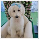 아이조아요양보호소 대구점 이미지