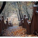 보문산공원로 이미지